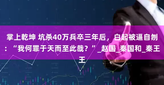 掌上乾坤 坑杀40万兵卒三年后，白起被逼自刎：“我何罪于天而至此哉？”_赵国_秦国和_秦王
