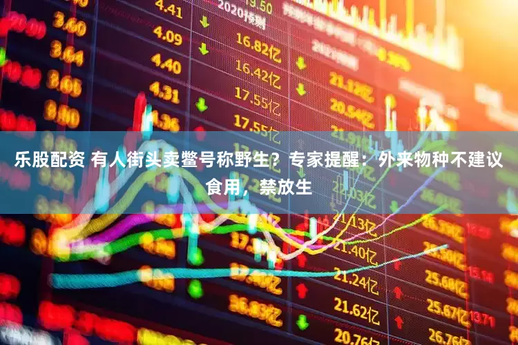 乐股配资 有人街头卖鳖号称野生？专家提醒：外来物种不建议食用，禁放生